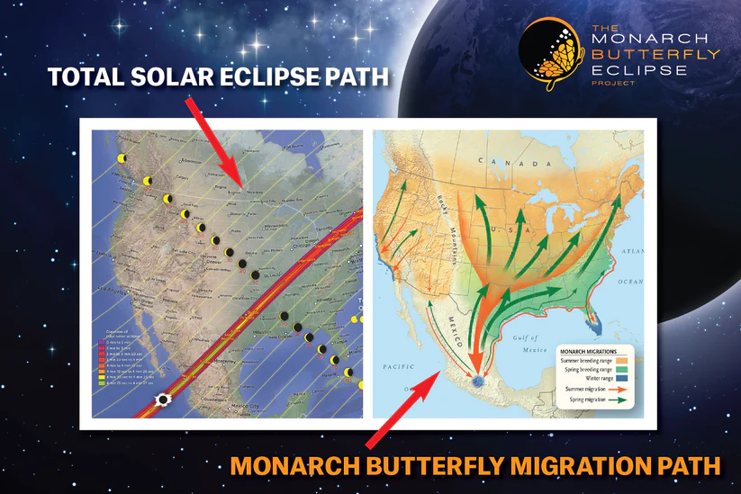 solar eclipse glasses Canada